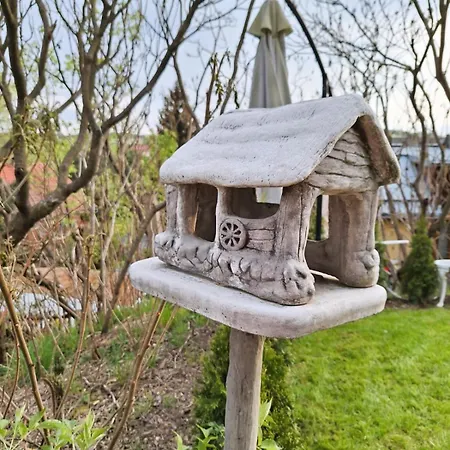 Na Korcie * Lubomierz